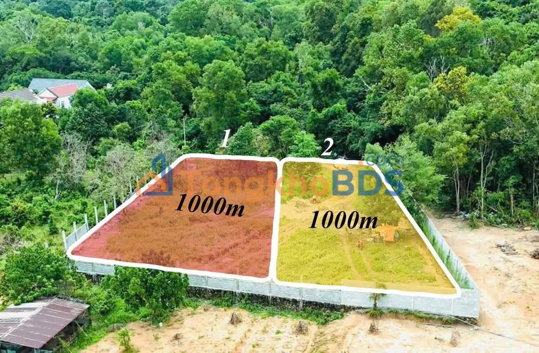 Đất nền Trần Hưng Đạo Hà Đông 1.000m2 10 triệu/m - Sổ đỏ chính chủ