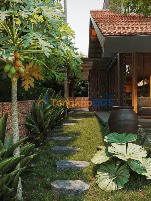 Đất nông nghiệp Tam Phú 360m² 2xx triệu - Đường ô tô