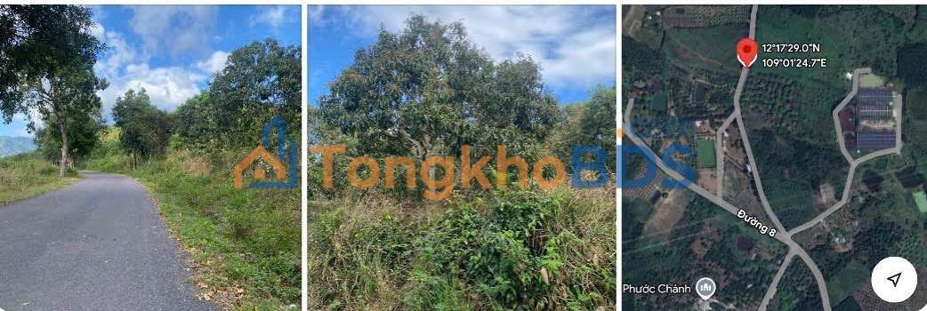 Đất nền Diên Lâm 1ha 2.2 tỷ - Tiềm năng tăng giá