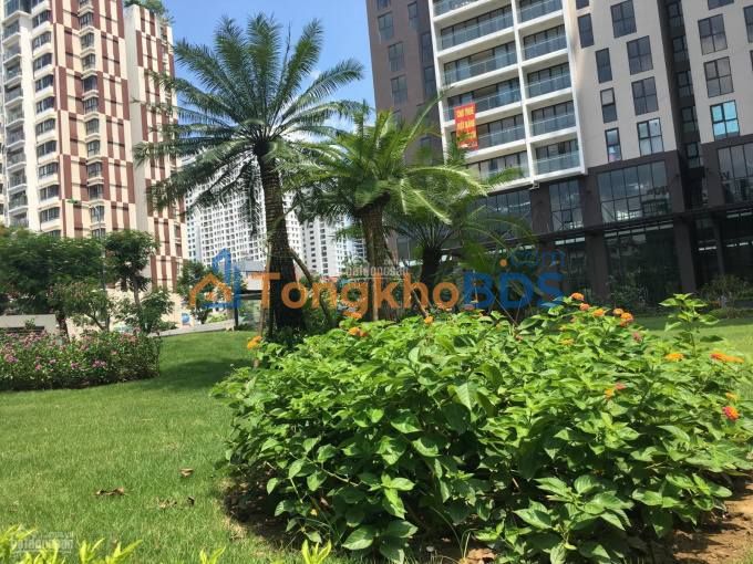 Căn hộ E2 Chelsea Trần Kim Xuyến 98m2 12xtr - Full nội thất