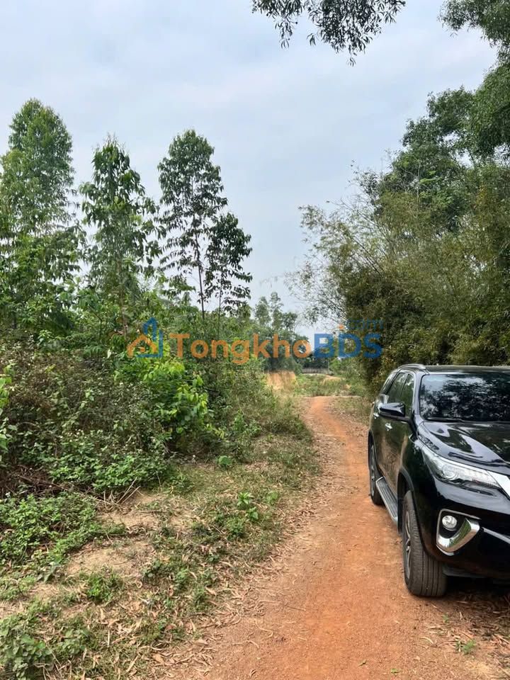 Đất nền Ba Vì 360m² 1 tỷ - Sổ đỏ chính chủ