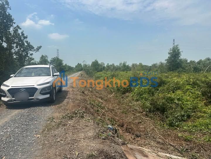 Đất nền Thạnh Hòa Bến Lức 1.000m² 620 triệu - Sổ đỏ chính chủ