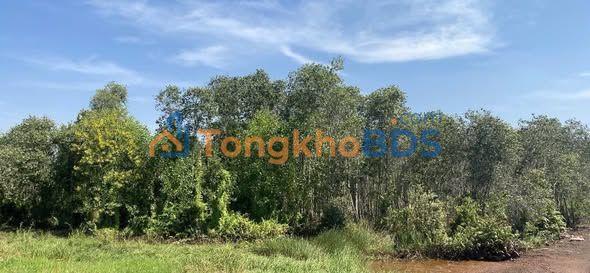 Đất nông nghiệp Tam Tân Củ Chi 1.079m² 3 tỷ - Sổ đỏ chính chủ