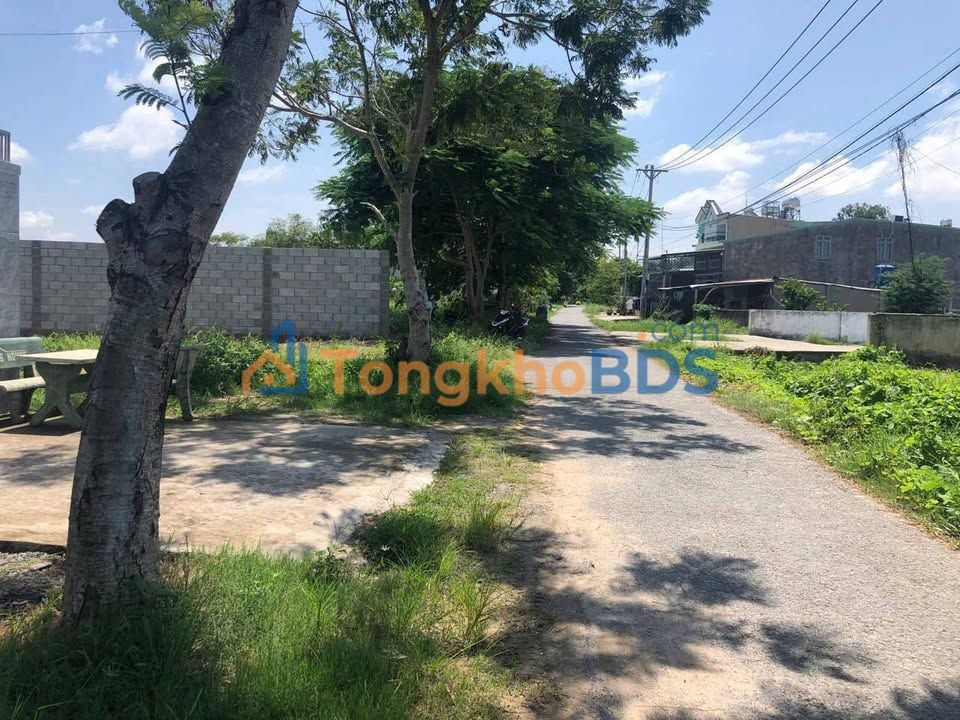 Đất nền Tân Thạnh Đông 345m² giá 4.9 tỷ - Sổ đỏ chính chủ