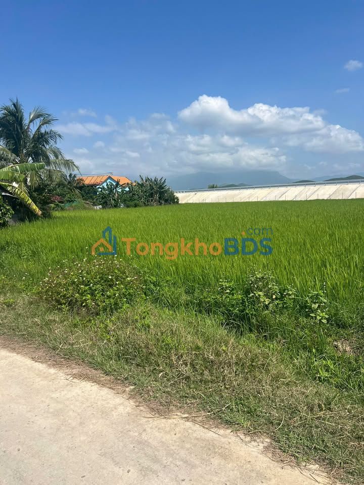 Đất Vĩnh Thạnh 1012m² 1.5 tỷ - Đất thổ cư 100%