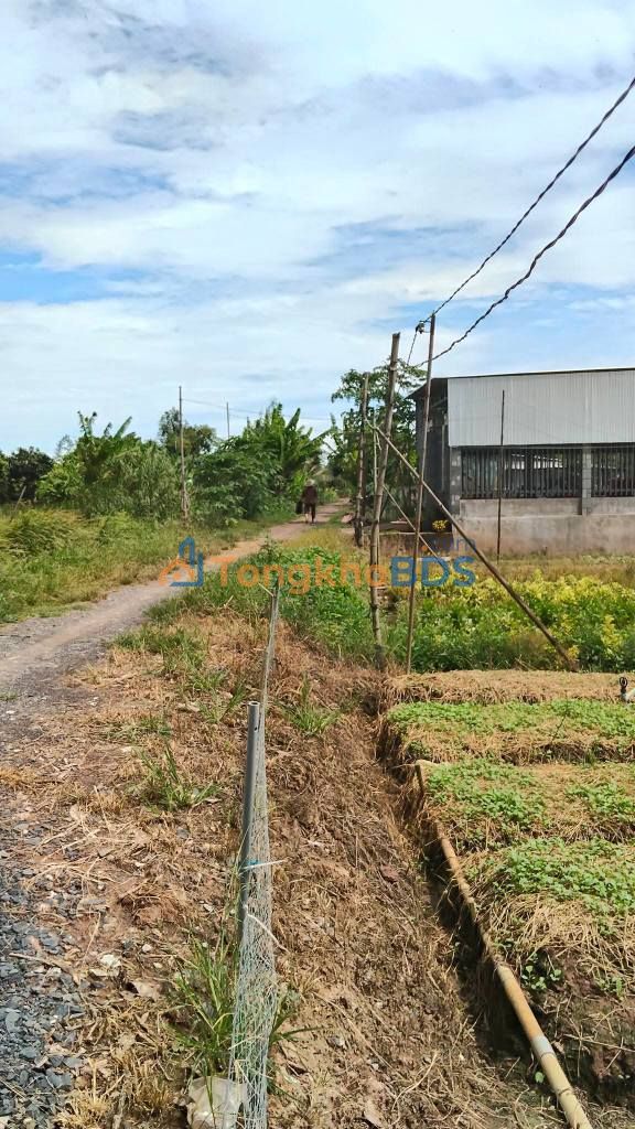 Đất nền Kiến Thành Chợ Mới 410m² 350 triệu - Sổ đỏ chính chủ