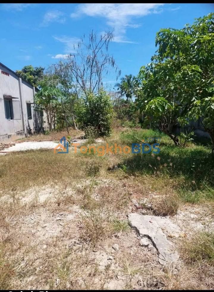 Đất Phước Vinh Tây Ninh 334m² 900 triệu - Sổ đỏ chính chủ