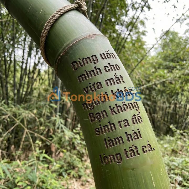 Đất nền Bình Minh Trảng Bom 156m² 2.2 tỷ - Sổ đỏ chính chủ