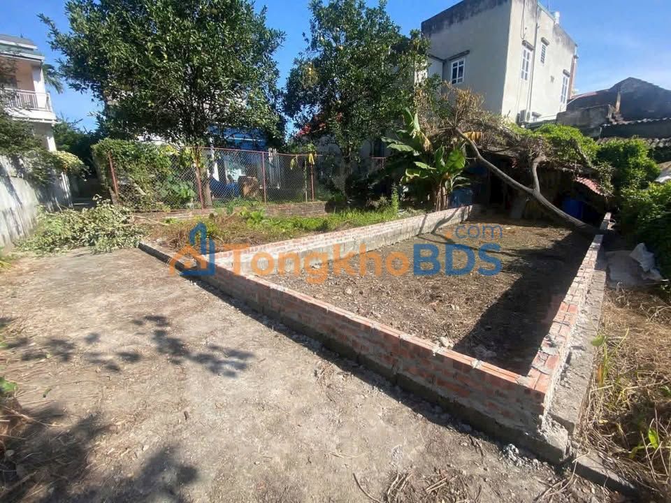 Đất nền Tam Hưng Thanh Oai 49m2 3.8 tỷ - Sổ đỏ chính chủ