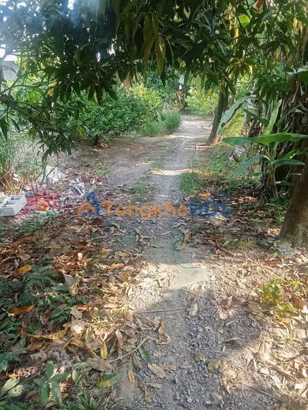 Đất vườn Mỹ Xương 1520m² 1.1 tỷ - Pháp lý rõ ràng