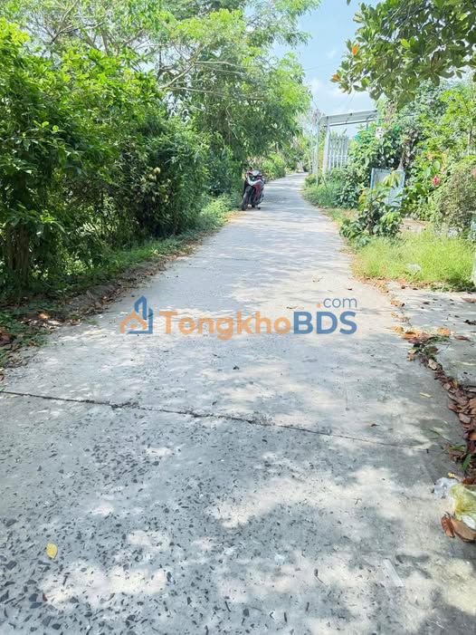 Đất nền Mỹ Trà Cao Lãnh 370m² 890 triệu - Giá tốt hiếm có