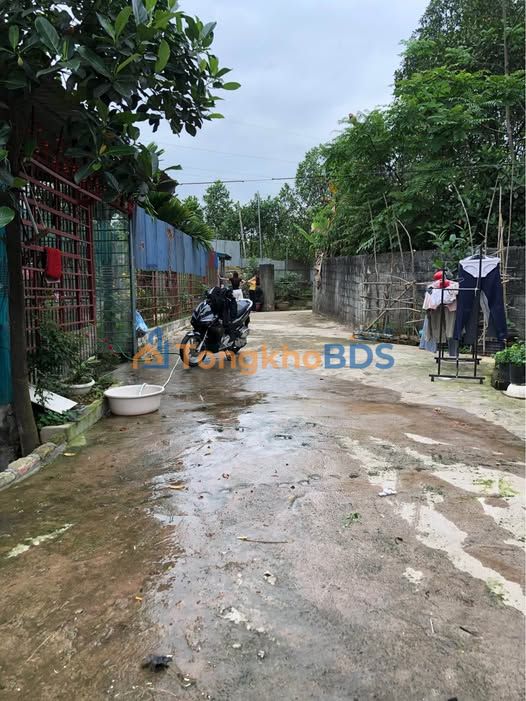 Đất Phường Tân Lập Thái Nguyên 100m² 1,199 tỷ - Ô tô vào tận đất