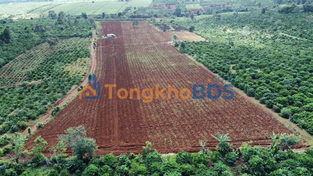 Đất nền Ia Tiêm 2ha giá 4 tỷ - Sổ đỏ chính chủ