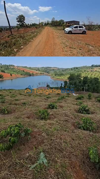 Đất vườn Trường Xuân 2.5ha 4.4 tỷ - Sổ hồng rõ ràng