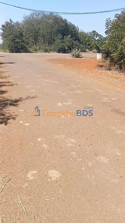 Đất nền Chư Don 3.096m² 1.8 tỷ - Sổ đỏ chính chủ