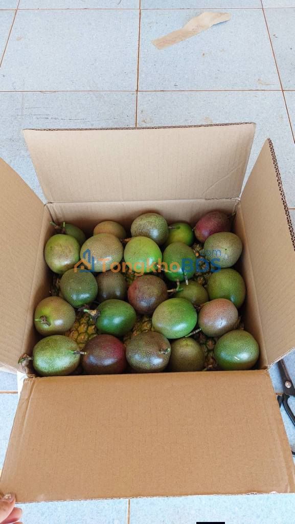 Đất vườn cho thuê Quảng Tâm 3ha - Sinh thái xanh