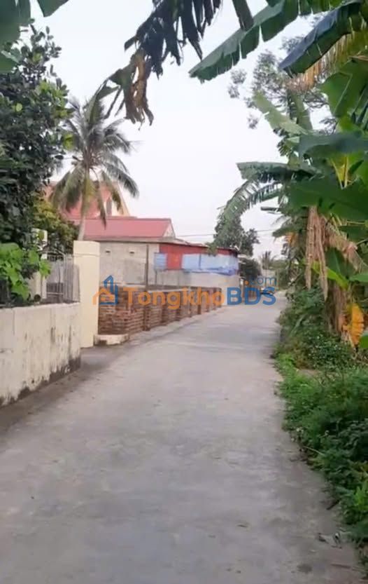 Đất nền Trung Lập Vĩnh Bảo 109m² 1.2 tỷ - Đất thổ cư 100%