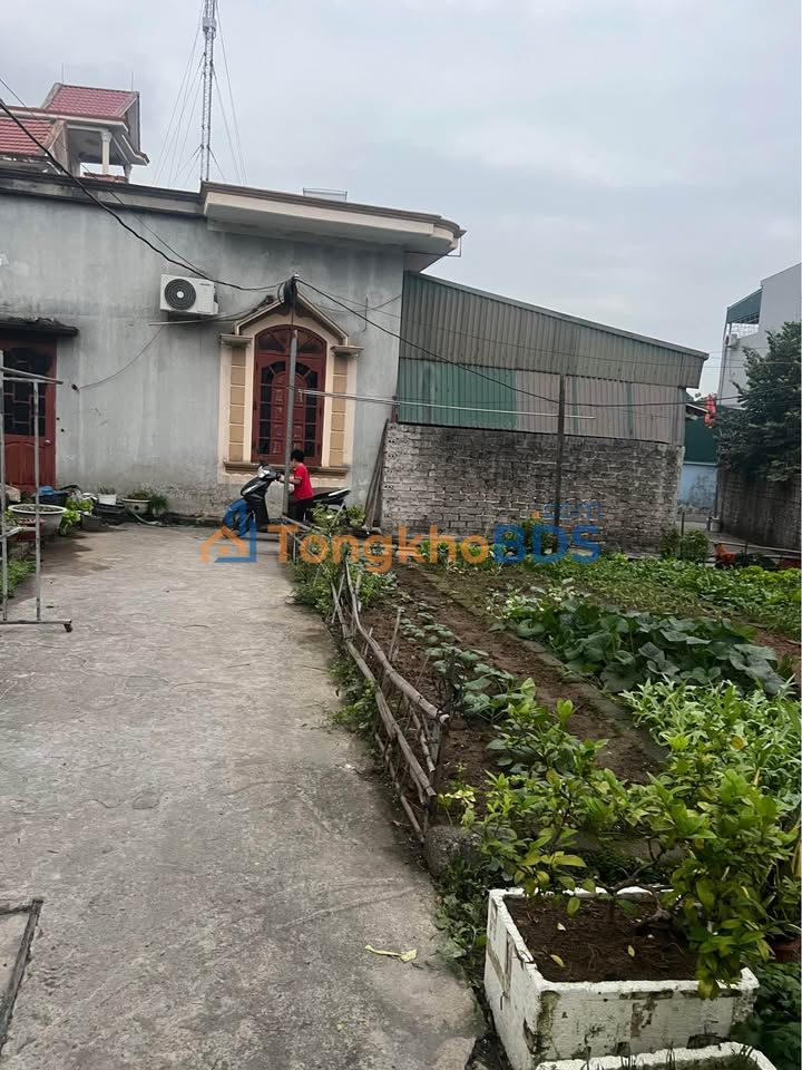 Đất nền Cẩm Phú 54m² 400 triệu - Sổ đỏ chính chủ