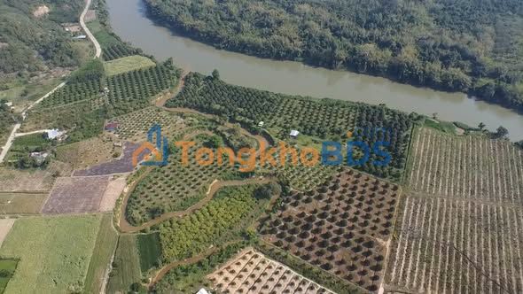 Đất nền Đạ Tẻh 2520m² 3.5 tỷ - Tiềm năng tăng giá ven sông