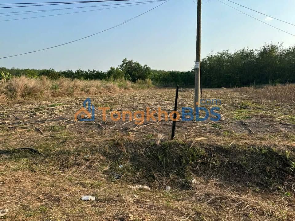 Đất nền Thiện Hưng 720m² 480 triệu - Sổ đỏ chính chủ