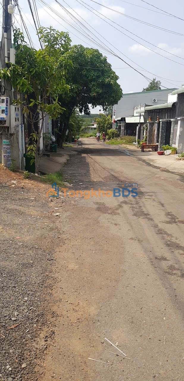 Đất Ông Thanh Tân Xuân Đồng Xoài 1 tỷ - Tiềm năng tăng giá