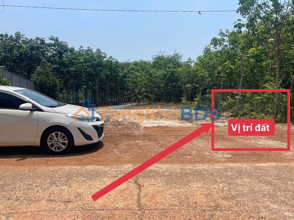 Đất nền Quang Minh Tân Quan 200m² 400 triệu - Sổ đỏ