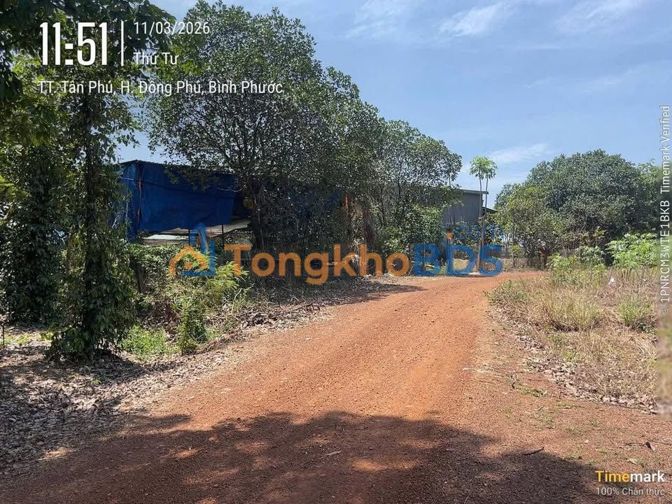 Đất nền Tân Phú 225m² 230 triệu - Sổ đỏ chính chủ