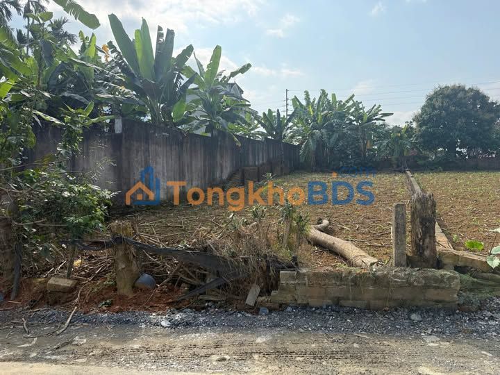 Đất nền Bãi Dài Thạch Thất 205m² giá đầu tư - Sổ đỏ chính chủ