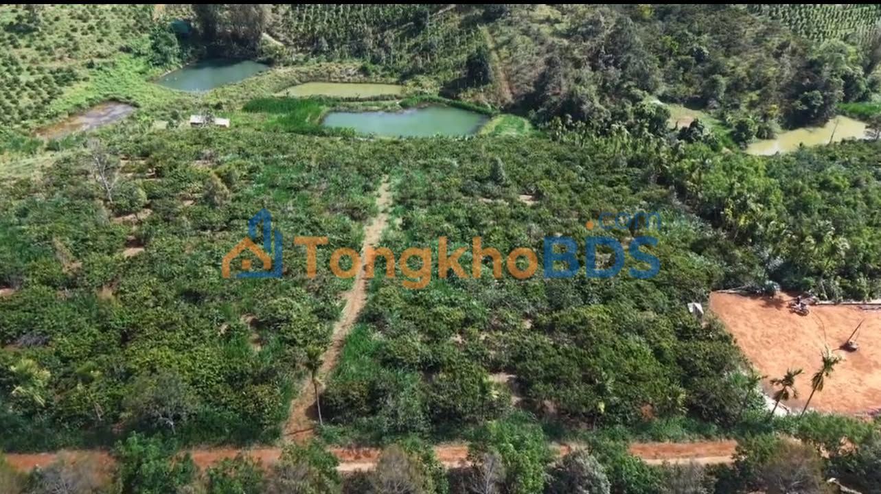 Đất nền Nâm N’Jang Đắk Song 1,5ha 2,9 tỷ - Sổ đỏ chính chủ