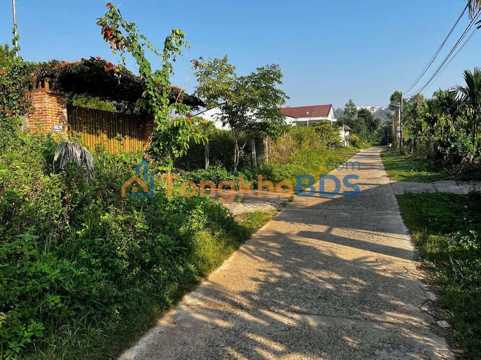 Đất nền Mai Garden Bảo Lộc 119m² 1.599 tỷ - Sổ đỏ chính chủ