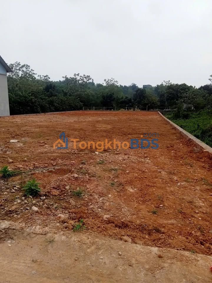 Đất nền Ba Vì 620m² thỏa thuận - Sổ đỏ chính chủ