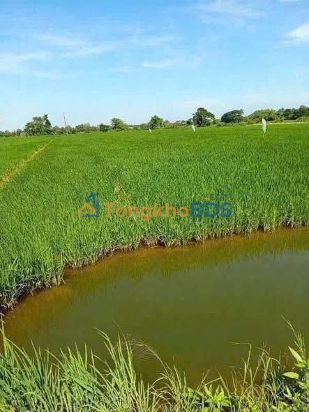 Đất nền Long Xuyên 3.681m² giá 8.18-9.192 tỷ - Đường ô tô