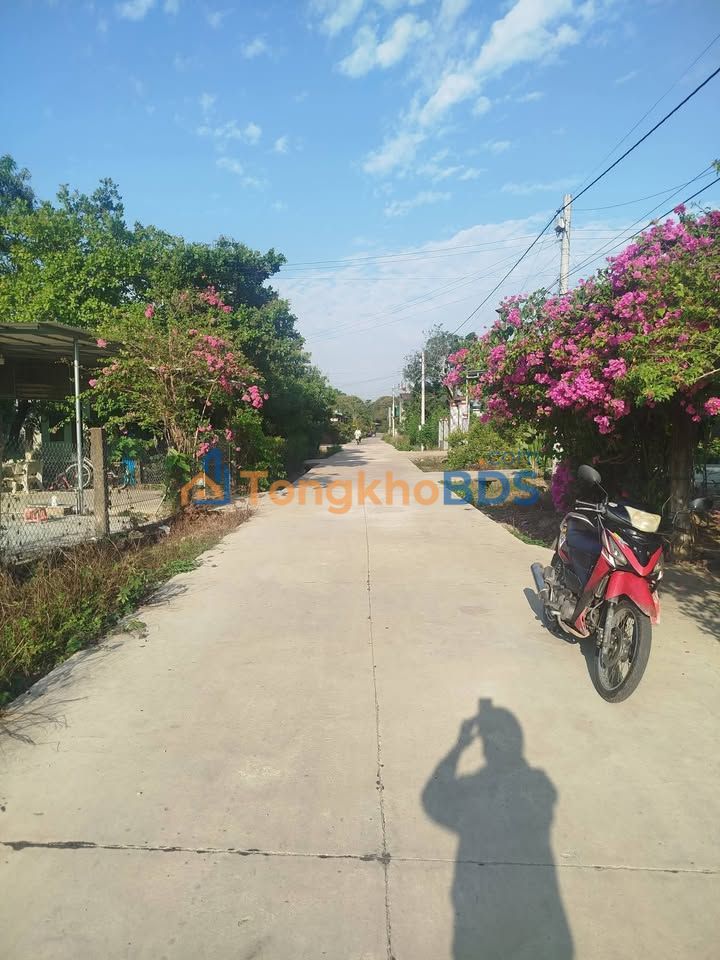 Đất nền Bắc Ruộng Tánh Linh 60m² 420 triệu - Sổ đỏ chính chủ