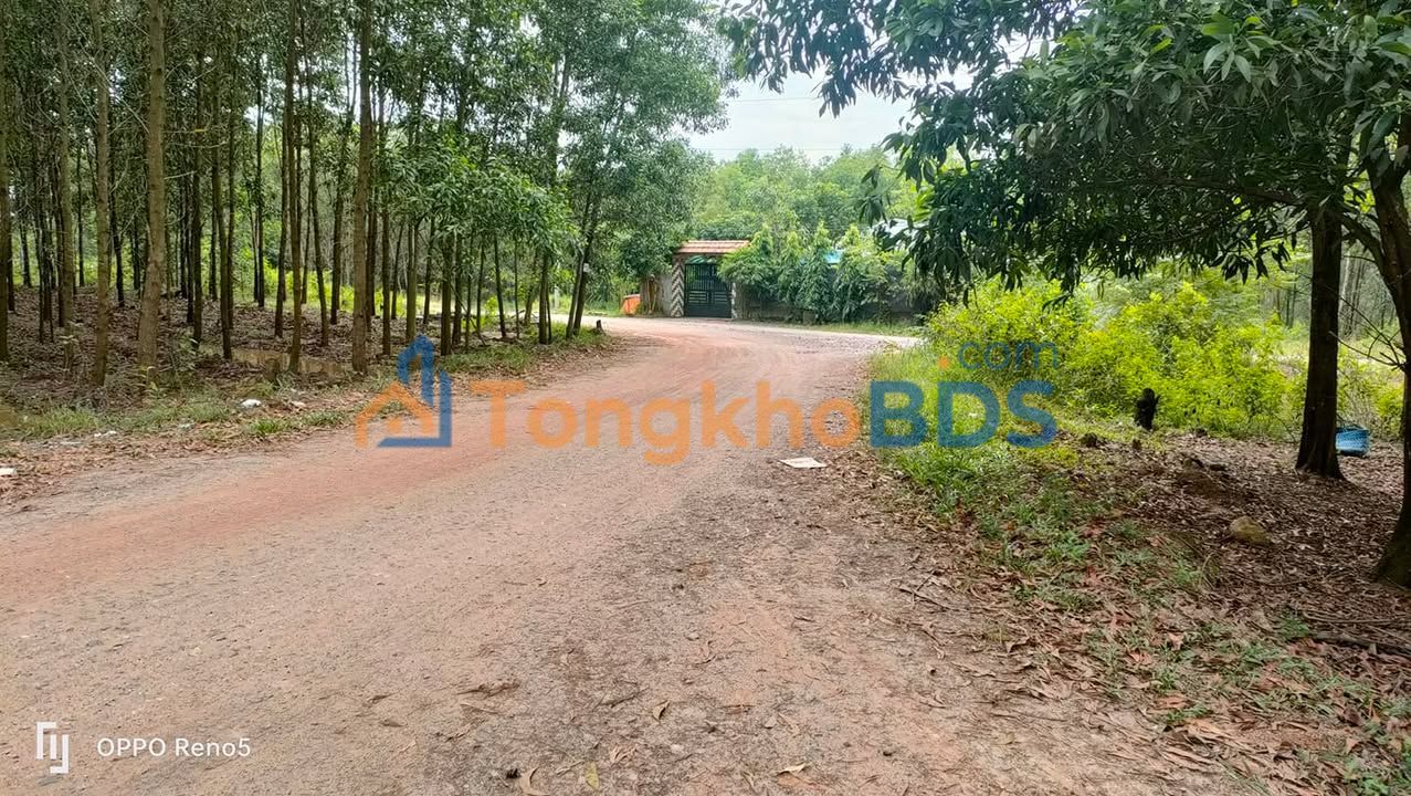 Đất nền KP7 Long Bình Biên Hòa 100m² 220 triệu - Hạ tầng hoàn thiện