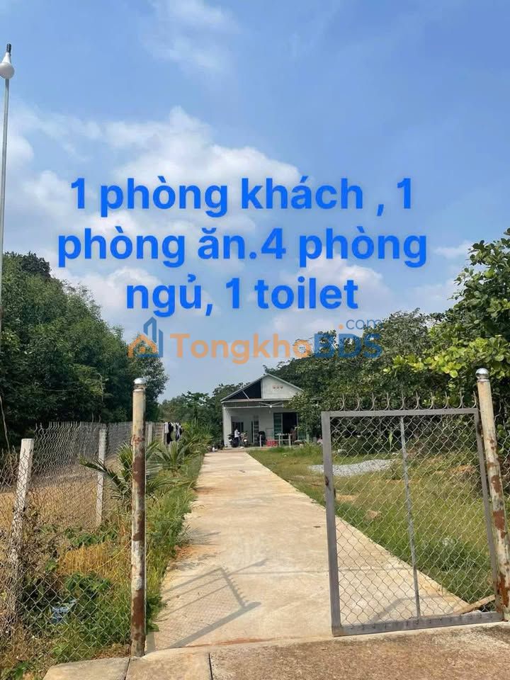 Farm Hòa Bình Xuyên Mộc 6.570m² - Đầu tư dài hạn