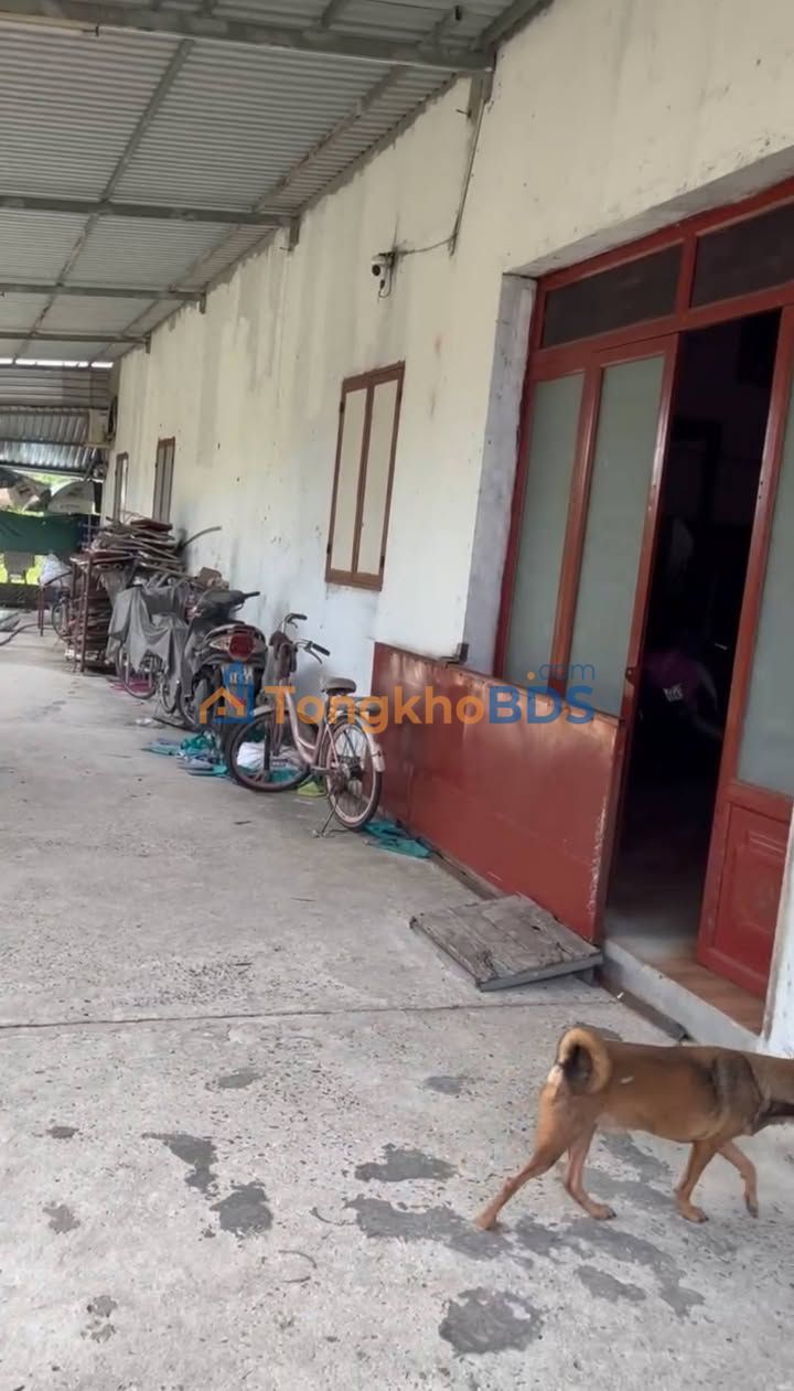 Nhà 2 mặt tiền Ấp Xóm Huế Tân An Hội 612m² 6.5 tỷ - Sẵn sàng ở ngay