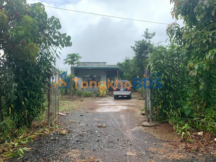 Đất nền Củ Chi 9.180m² giá 10.2 tỷ - Sổ đỏ chính chủ