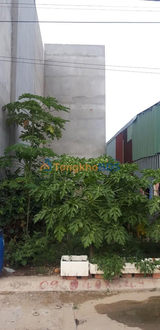 Đất nền Linh Trung Thủ Đức 55m² 2 tỷ - Sổ đỏ chính chủ