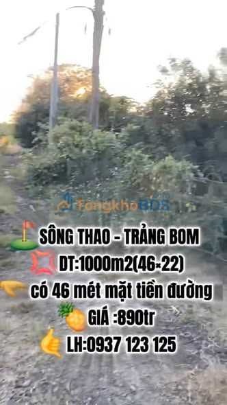 Đất nền Sông Thao 1.000m² 0,89 tỷ - Hạ tầng hoàn thiện