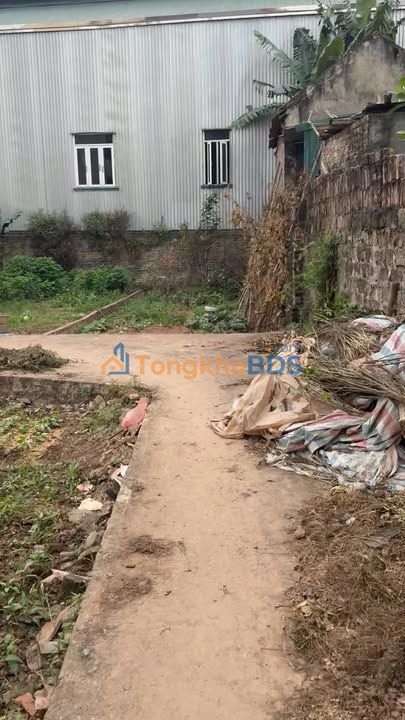 Đất nền Dương Nội Hà Đông 41m² 2 tỷ - Đường to ô tô