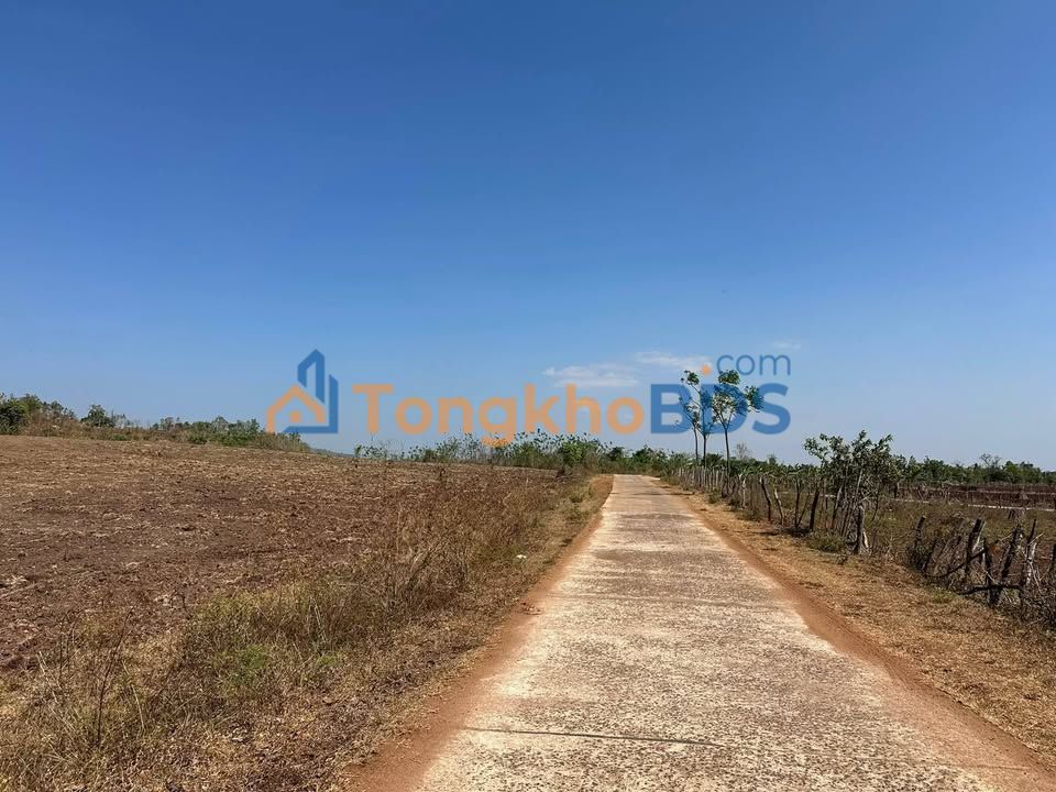 Đất nền Gia Lai Trà Đa 1,2ha 799 triệu Sổ đỏ chính chủ