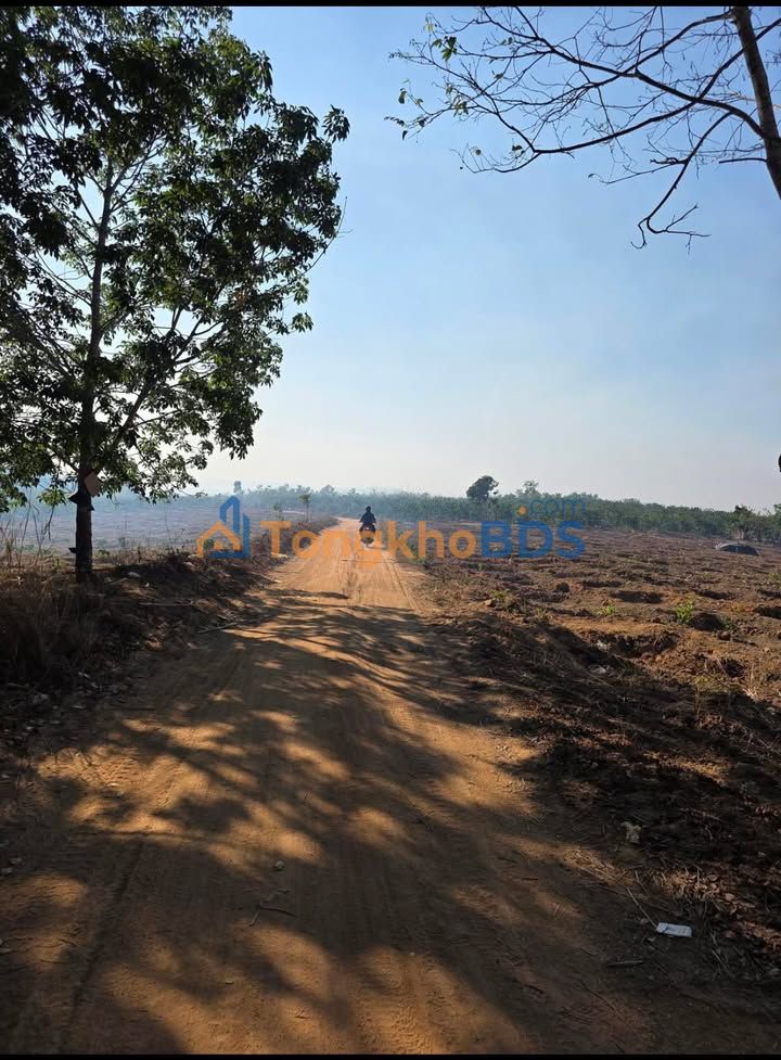 Đất vườn Dak So Mei Pleiku 2,5ha 1,25 tỷ - Sinh thái xanh