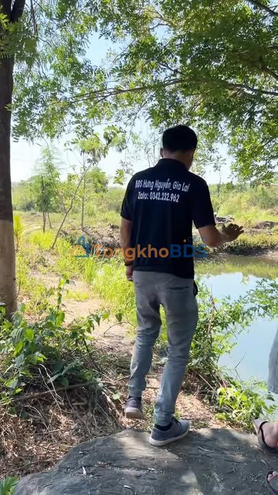 Đất nền QL14 Pleiku 1,2ha giá 750tr - Tiềm năng tăng giá