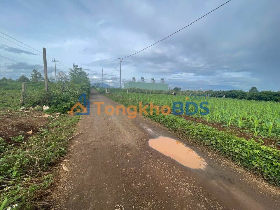 Đất nền Plei Ku 125m² giá 299 triệu - Sổ đỏ chính chủ