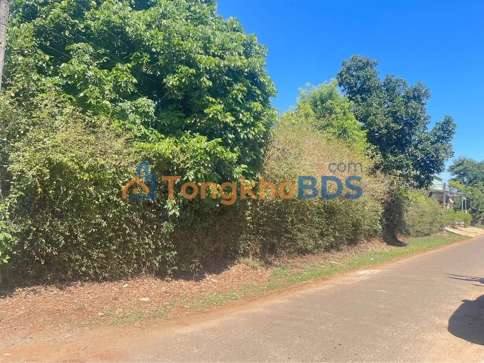 Đất nền An Dương Vương Pleiku 225m² - Đất thổ cư 100% sẵn sổ