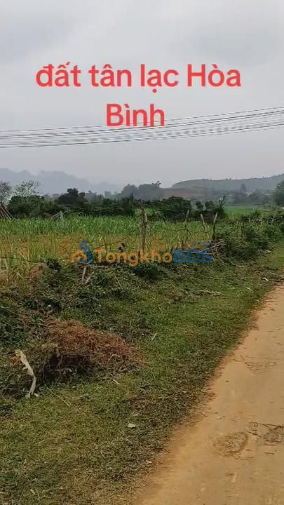 Đất nền Mỹ Hòa Tân Lạc 361m² giá 300 triệu - Sổ đỏ chính chủ