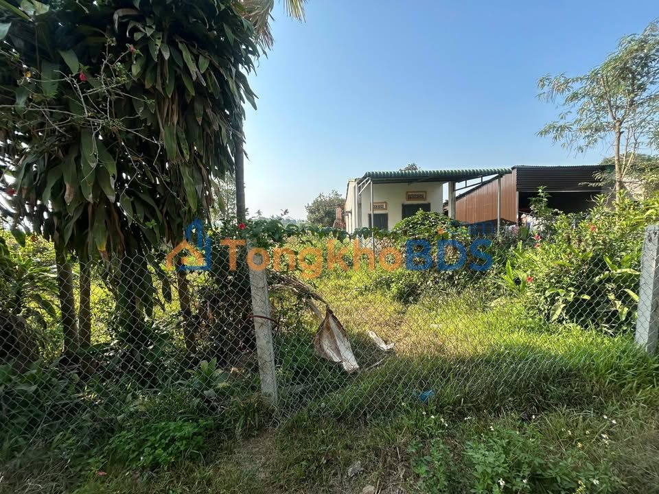 Nhà vườn Ea R'Bin 1.170m² 750 triệu - Sẵn sàng ở ngay