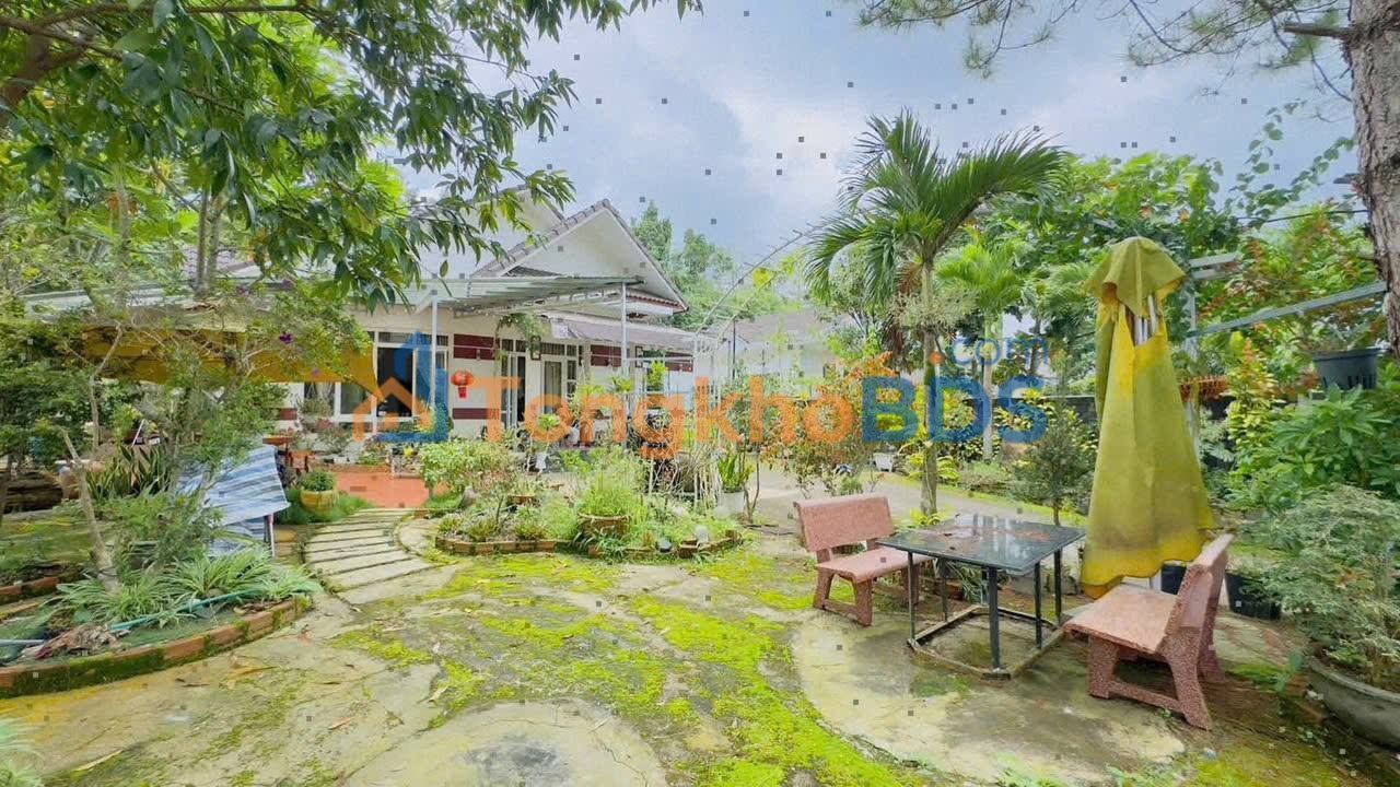 Nhà vườn Bùi Thị Xuân P1 Bảo Lộc 12 triệu - Full nội thất sẵn ở