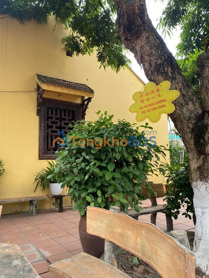 Nhà Nguyễn Trãi Thanh Xuân 30m² giá 8.5 tỷ - Chính chủ bán