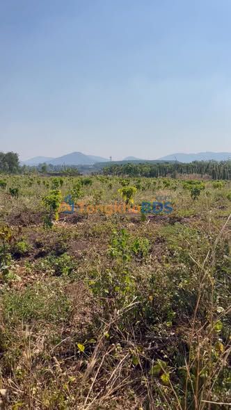 Đất Ea H'leo 1ha giá thỏa thuận - Tiềm năng tăng giá